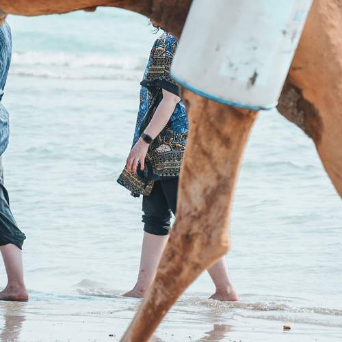 Photo #11368984