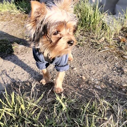 Photo #11369155