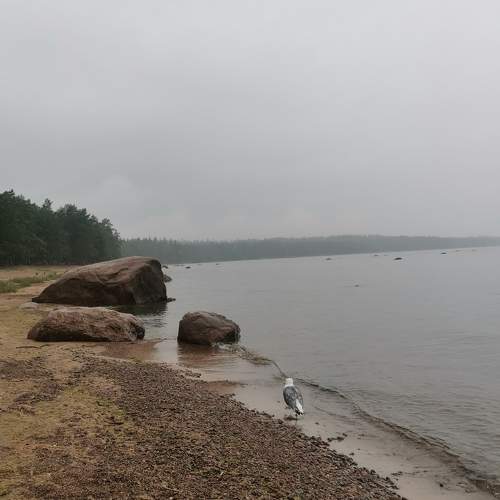 Photo #11369230