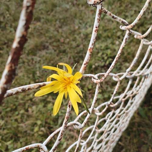 Photo #11369339