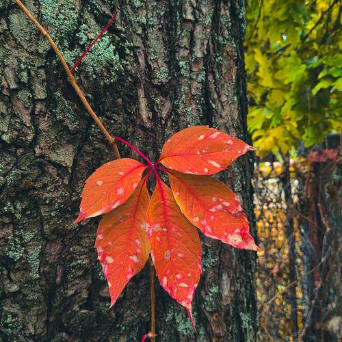 Photo #11369658
