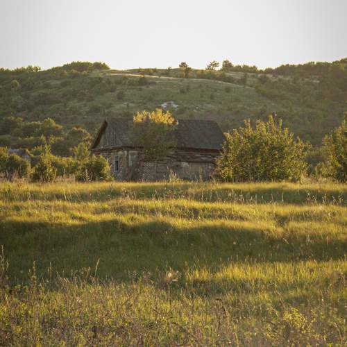 Photo #11369669