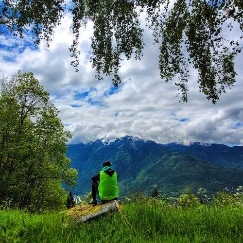 Photo #11369773