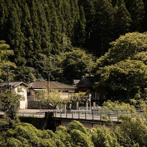 Photo #11369957