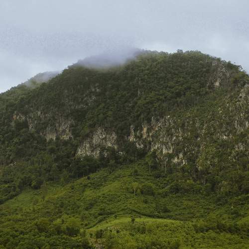 Photo #11369959