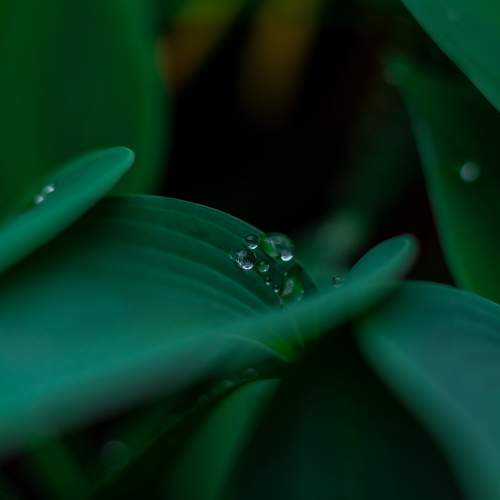 Photo #11369975