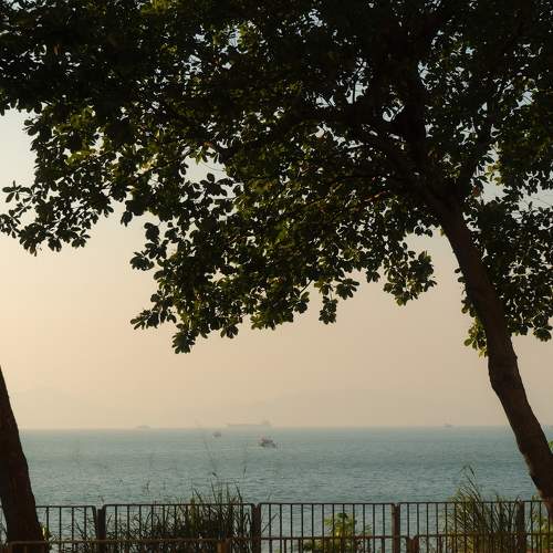 Photo #11370004