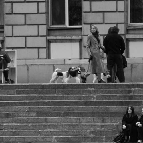 Photo #11370771