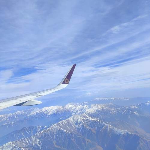 Photo #11370839