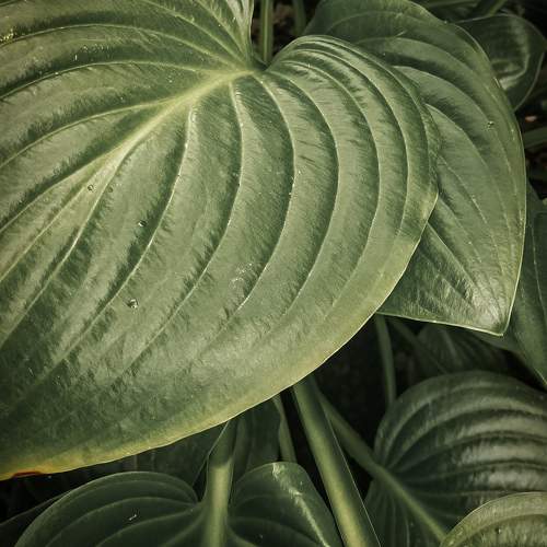 Photo #11370865