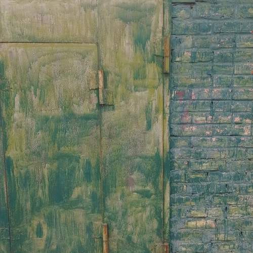 Photo #11370946