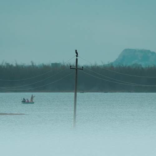 Photo #11370999
