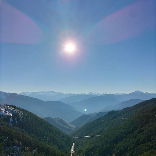 Photo #11371016