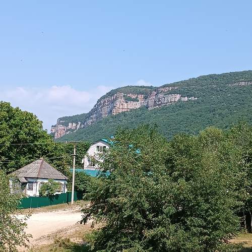 Photo #11371521