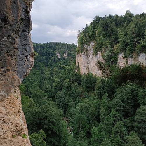 Photo #11371522