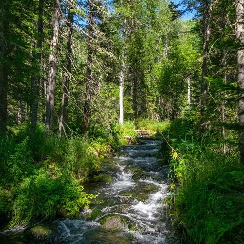 Photo #11371665