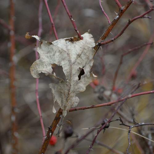 Photo #11371879