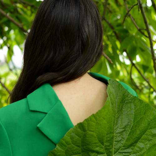 Photo #11372126