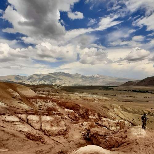Photo #11372275