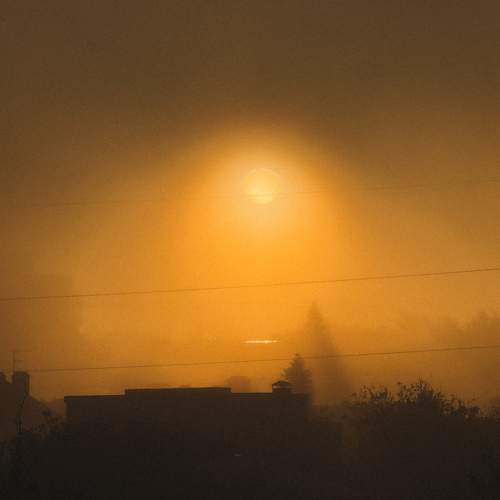 Photo #11372540