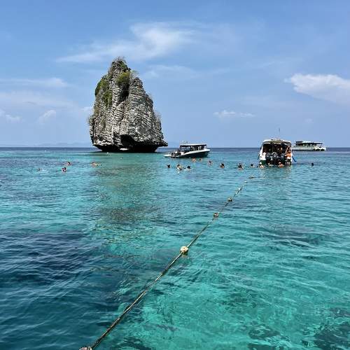 Photo #11373163