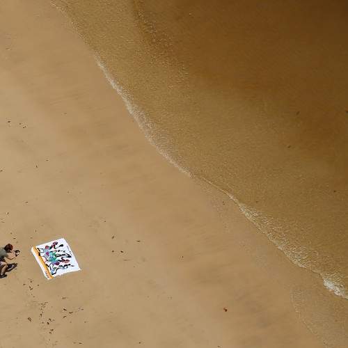 Photo #11373169