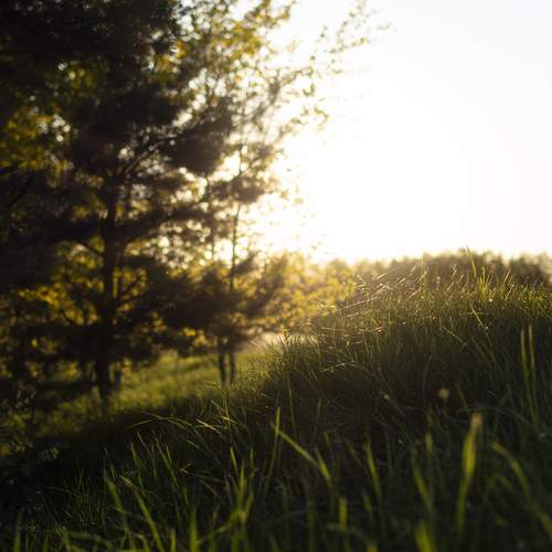 Photo #11373309