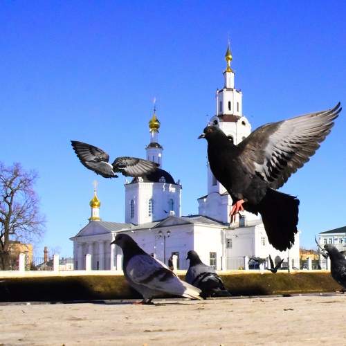 Photo #11373655