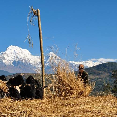 Photo #11373769
