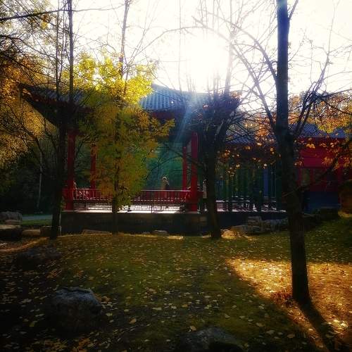 Photo #11374012