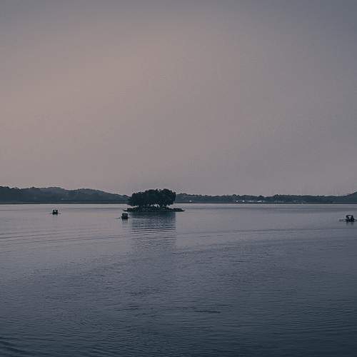 Photo #11374246