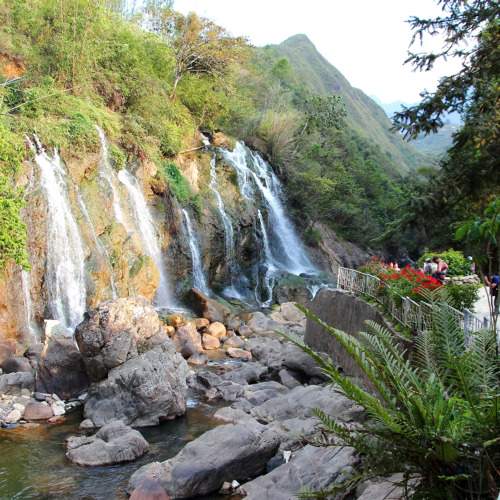 Photo #11374388