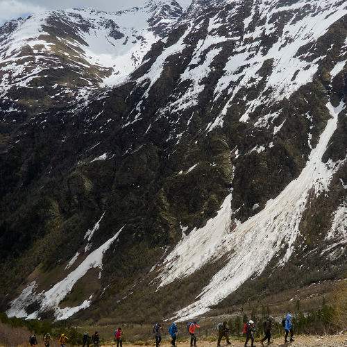 Photo #11374485
