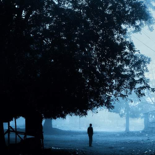 Photo #11374499
