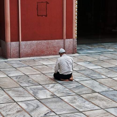 Photo #11374500