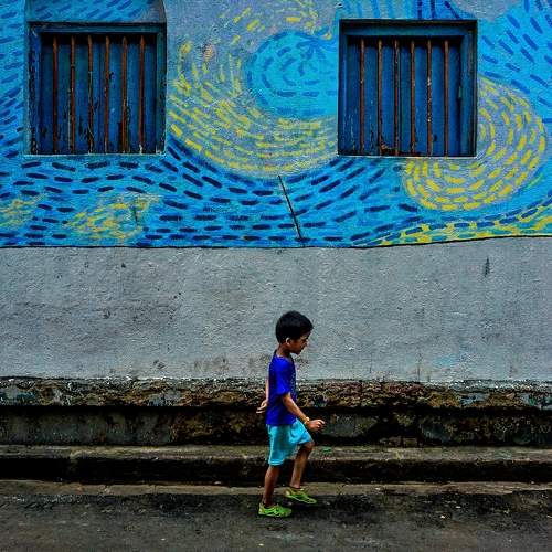 Photo #11374501