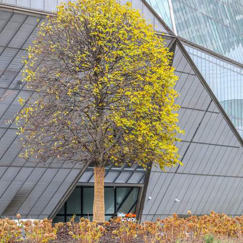 Фотография #11374508