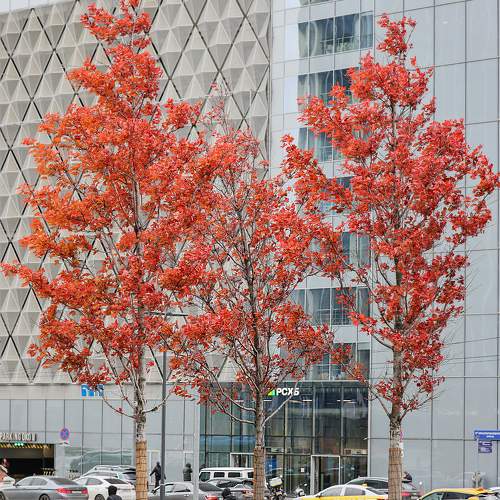 Фотография #11374509