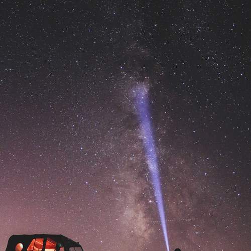Photo #11374817