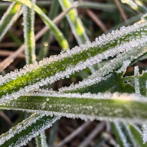 Photo #11375018