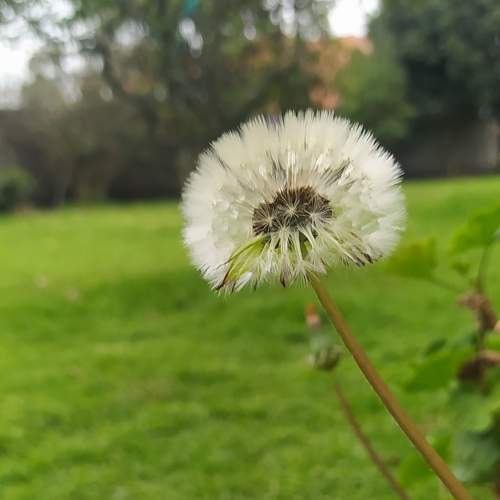 Photo #11375503