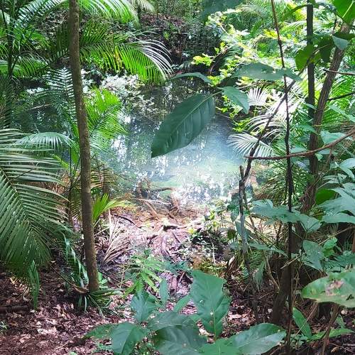 Photo #11375506