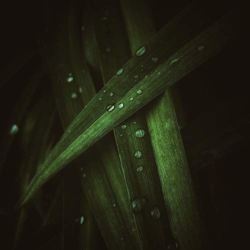 Photo #11375514