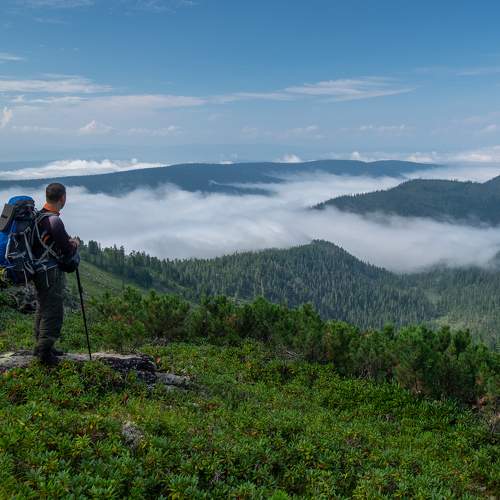 Photo #11375557