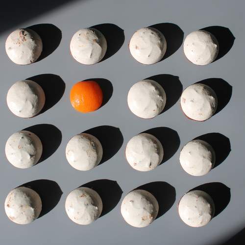 Photo #11375666