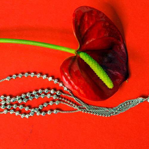 Photo #11375677