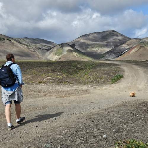 Photo #11375679