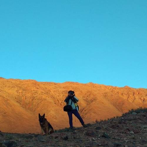 Photo #11375835