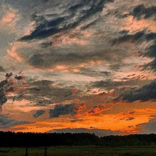 Photo #11375846