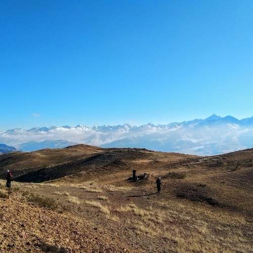 Photo #11375868